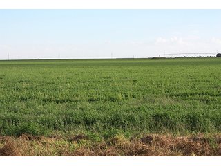 Property photo 64 - LAND AUCTION, 3255+/- Acres offered in 13 Tracts